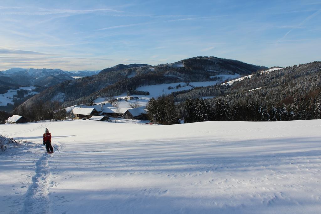 Hirmhof Vila Reinsberg Exterior foto