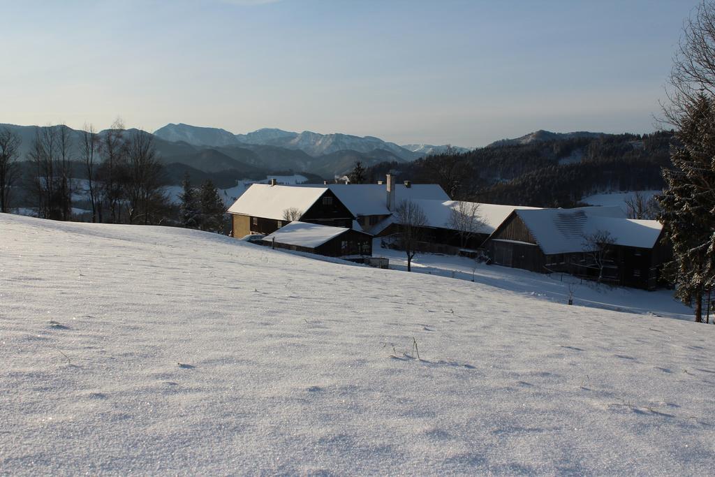 Hirmhof Vila Reinsberg Exterior foto